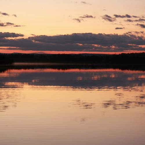 Photo #13394759