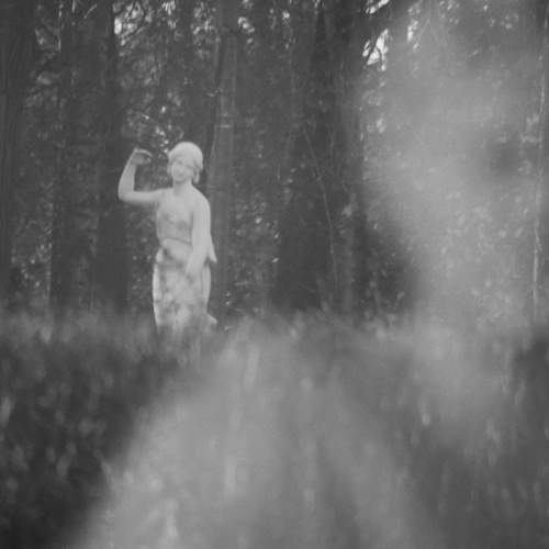 Photo #13394770