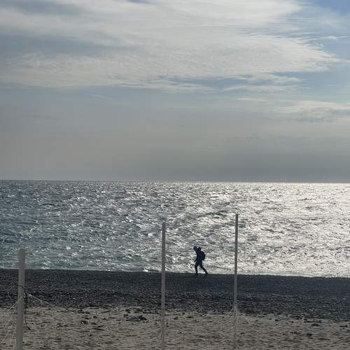 Photo #13394790