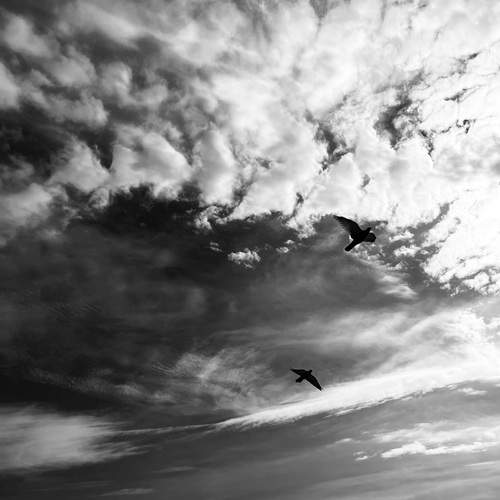 Photo #13394825
