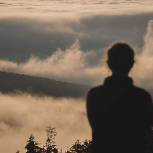 Фотография #13394874