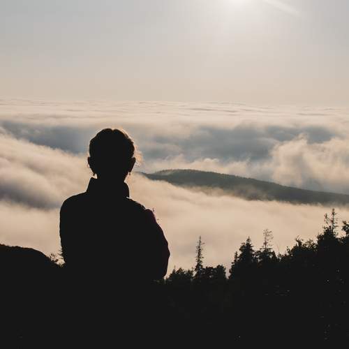 Фотография #13394923