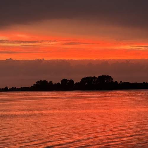 Photo #13394925