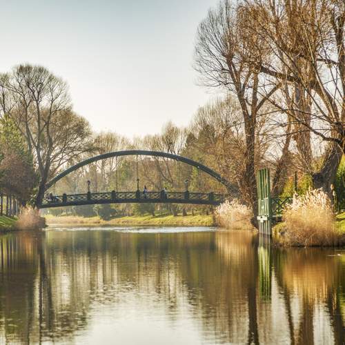 Golden Calm in the Park