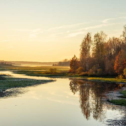 Photo #13395066