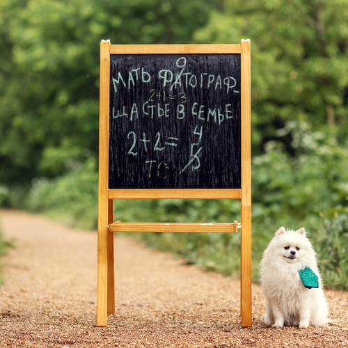 Photo #13395222
