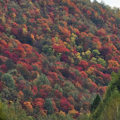 Фотография #13395243