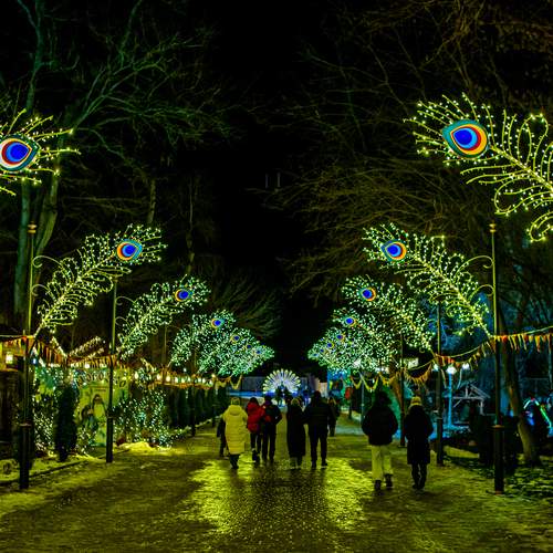 Photo #13395252