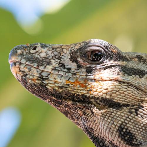 Фотография #13395264