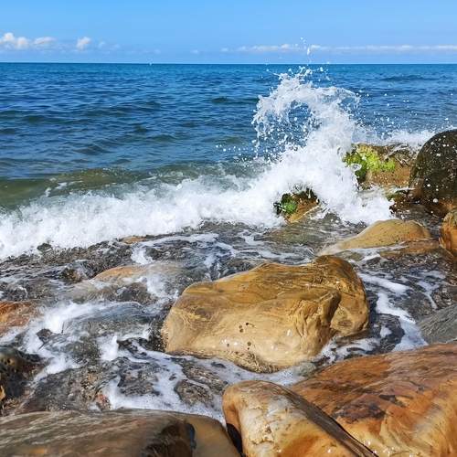 Фотография #13395269