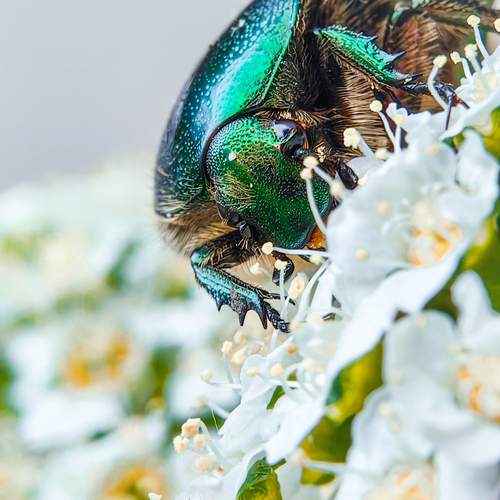 Photo #13395751