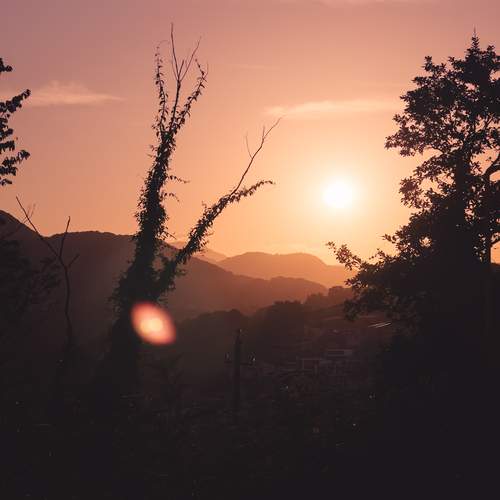 Photo #13395775
