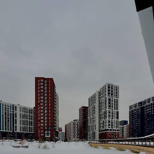 Photo #13395820