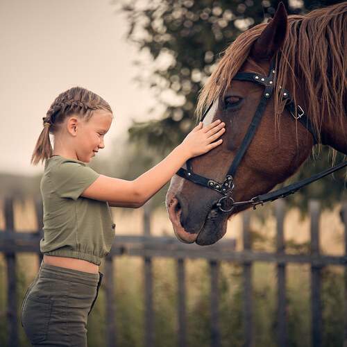 Photo #13395835