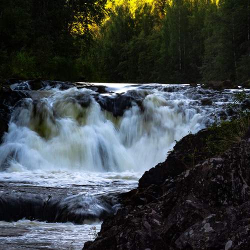 Photo #13395911