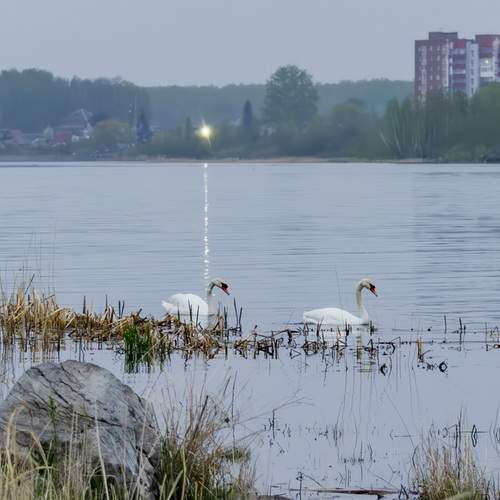 Photo #13396024