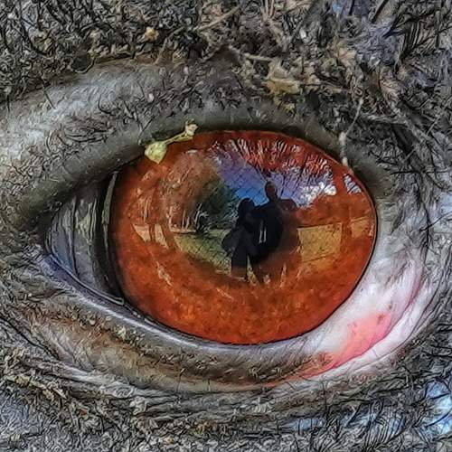 Photo #13396126