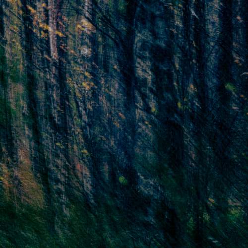 Photo #13396138