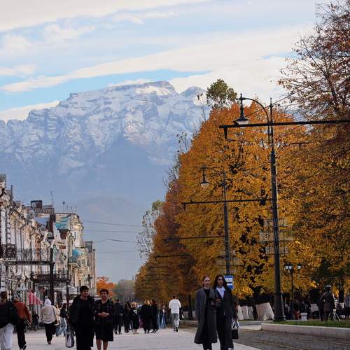 Photo #13396151