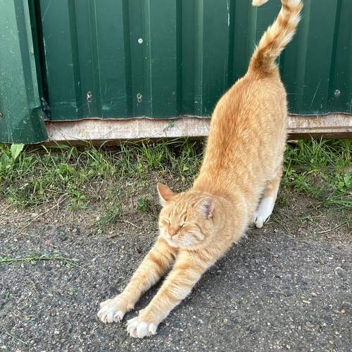Photo #13396156