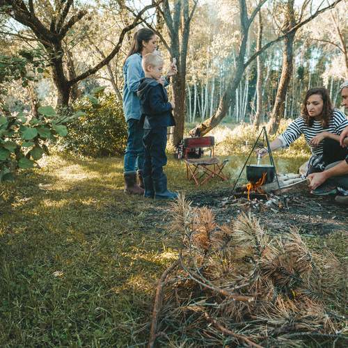 Photo #13396263