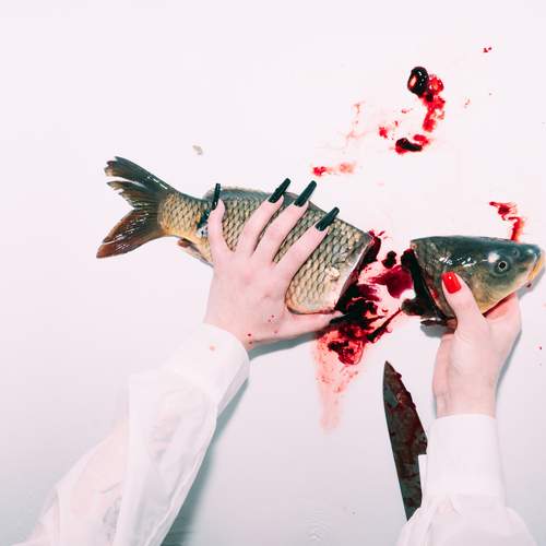 Photo #13396286