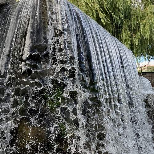 Photo #13396298