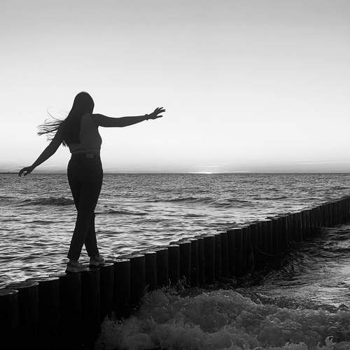 Photo #13396385