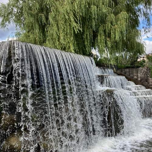 Photo #13396414