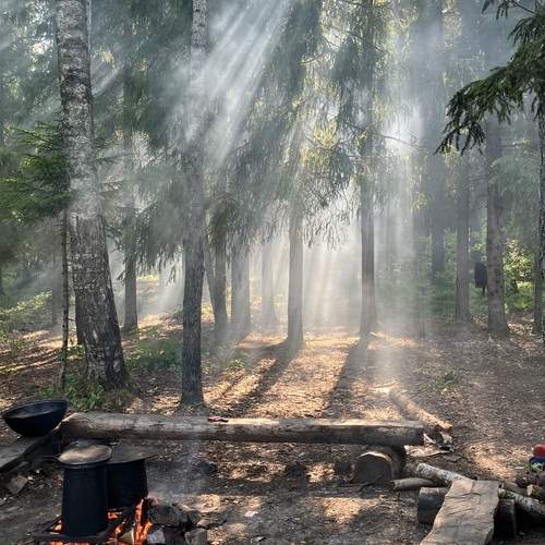 Photo #13396446