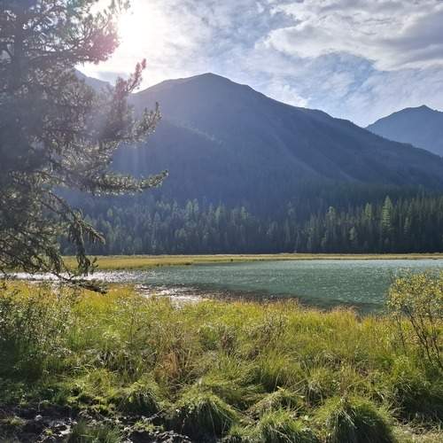 Photo #13396490