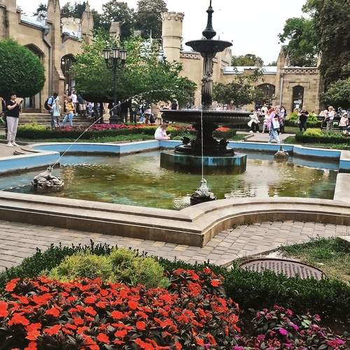 Photo #13396568