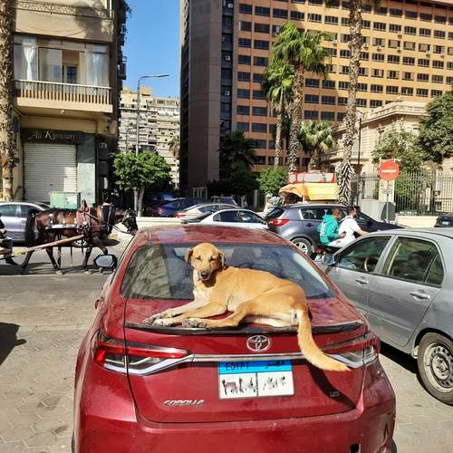 Photo #13396597