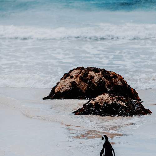 Photo #13396644