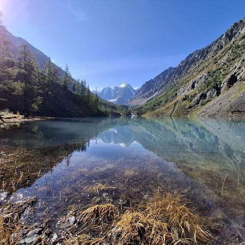 Photo #13396685