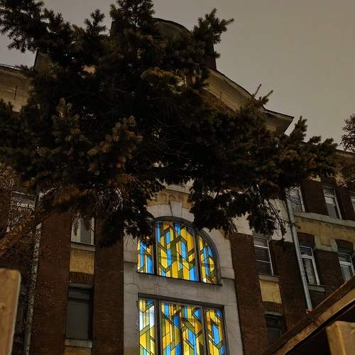 Photo #13396693