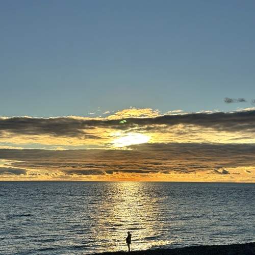 Photo #13396696