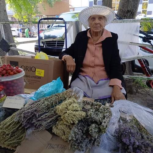 Photo #13396707