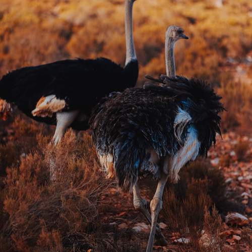 Photo #13396712