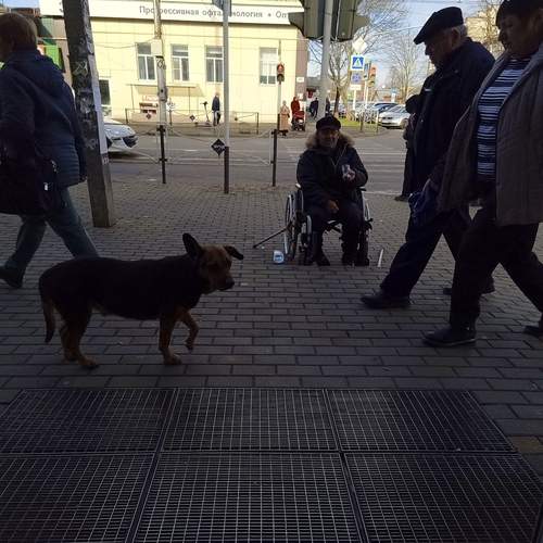 Photo #13396713