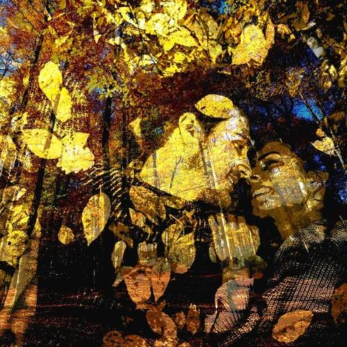 Photo #13396721
