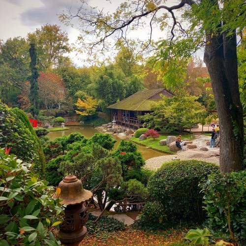 Photo #13396799