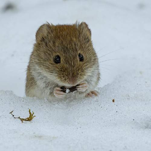 Photo #13396911