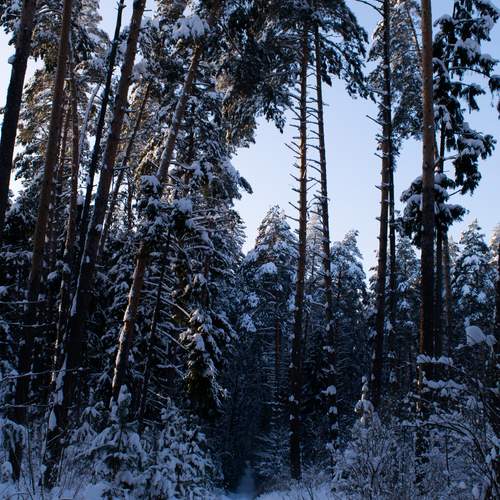 Photo #13396936