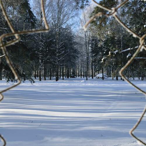 Photo #13397034