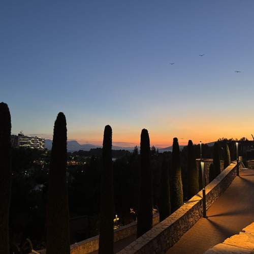 Photo #13397048