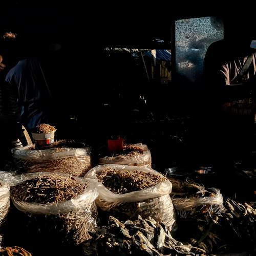 Photo #13397144