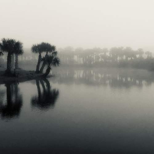 Photo #13397207