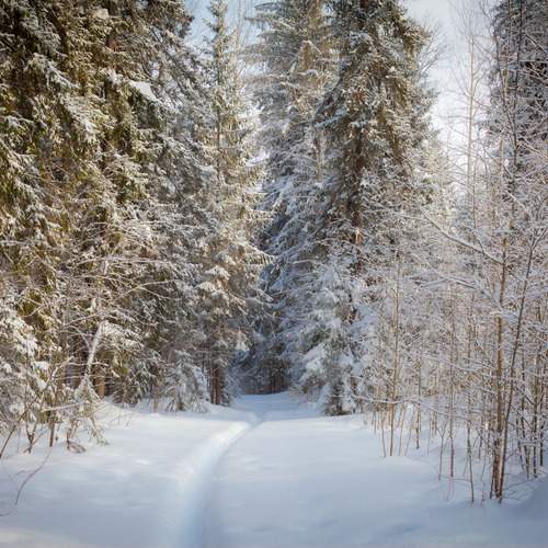 Photo #13397336