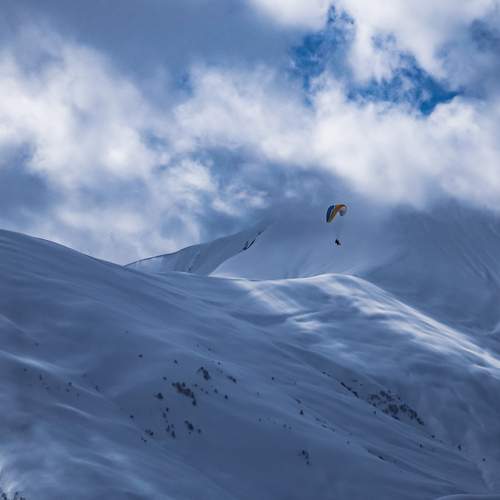 Photo #13397391